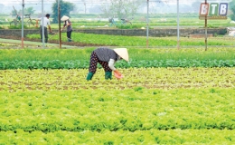 Quỹ Tín dụng nhân dân Trung An: Đóng góp tích cực cho phát triển kinh tế - xã hội địa phương