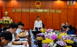 Thành phố Thái Bình: Họp Ban chỉ đạo phòng, chống bệnh dịch tả lợn châu Phi
