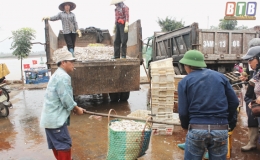 Những chuyến biển đầu xuân