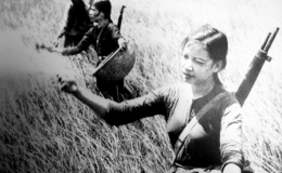 Pháo đài đồng bằng