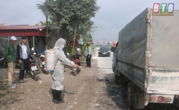 Quỳnh Phụ: 26 xã, thị trấn có bệnh dịch tả lợn châu Phi