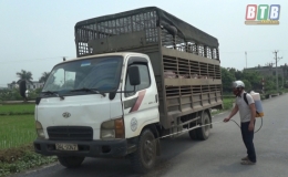 Kiến Xương tổ chức họp khẩn ứng phó với dịch tả lợn châu Phi