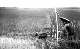 Pháo đài Đồng Bằng