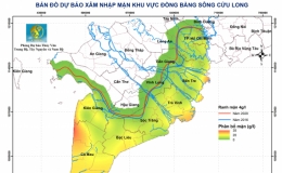 Xâm nhập mặn ở ĐBSCL diễn ra gay gắt trong nửa đầu tháng 3