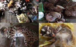 WWF kêu gọi chấm dứt tiêu thụ động vật hoang dã trong toàn khu vực