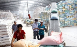 Đảm bảo cung ứng gạo dự trữ để bình ổn thị trường
