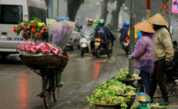 Thời tiết ngày 12/3: Bắc Bộ có mưa