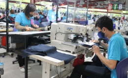 Vũ Thư thu ngân sách nhà nước vượt 72% kế hoạch