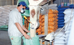 Quỳnh Phụ đẩy mạnh thu hút đầu tư vào các cụm công nghiệp