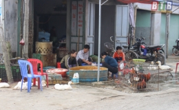 Tiềm ẩn nguy cơ bùng phát dịch cúm gia cầm từ những điểm giết mổ không an toàn