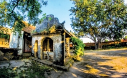 Mầm sinh Mỹ Xá