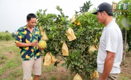 Người “chắt vàng” từ đất