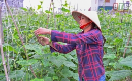 Tô thắm truyền thống cách mạng