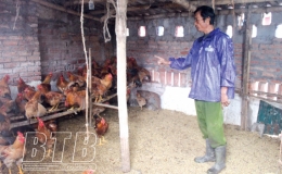 Chăm sóc vật nuôi khi thời tiết thay đổi