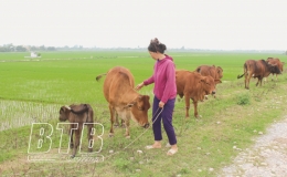 Hiệu quả vốn vay thoát nghèo ở Đông Hưng