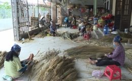 Làng nghề chổi đót Tam Quang vươn lên trong dịch Covid-19