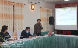 Tập trung chỉ đạo, hướng dẫn chăm sóc lúa xuân, cây màu vụ xuân
