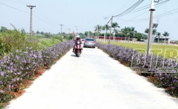 Thái Bình vươn mình đổi mới