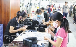 Thái Thụy: Doanh nghiệp đẩy mạnh sản xuất, kinh doanh
