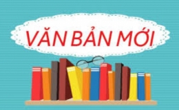 Từ 10/3, cho người khác mượn văn bằng, chứng chỉ bị phạt đến 10 triệu đồng