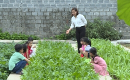 Vườn rau dinh dưỡng cho trẻ