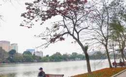 Bắc Bộ trời ấm, Nam Bộ chiều tối mưa dông