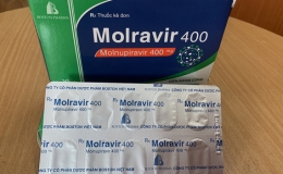 Bảo đảm khả năng cung ứng thuốc Molnupiravir trong nước