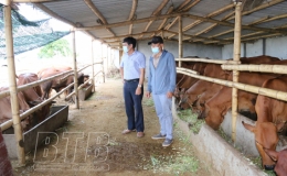 Đông Hưng: Tổng giá trị sản xuất 3 tháng đầu năm tăng 10,02% so với cùng kỳ