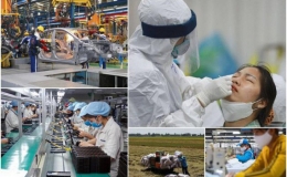 GDP quý I tăng 5,03%