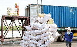 Giá gạo xuất khẩu cao nhất trong hơn 3 tháng
