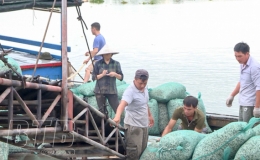 Hội Nông dân xã Nam Thịnh: Cùng hội viên phát triển sản xuất, kinh doanh