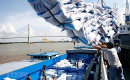 Nhiều nước ngừng xuất khẩu lương thực