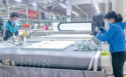 Phát triển tổ chức đảng trong doanh nghiệp: Nhiều chuyển biến tích cực