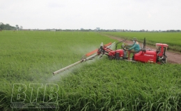 Quyết tâm làm cho Thái Bình trở nên một trong những tỉnh khá nhất