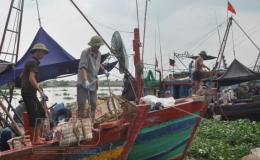 Thái Thụy: Tổng giá trị sản xuất quý I, năm 2022 ước đạt hơn 6.241 tỷ đồng