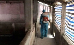 Triển khai tháng tổng vệ sinh, khử trùng, tiêu độc môi trường từ ngày 15/3