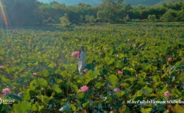 “Việt Nam: Đi Để Yêu! - Trải nghiệm trọn vẹn”