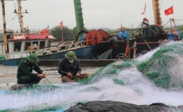 2 tháng đầu năm sản lượng thuỷ sản ước đạt 43.200 tấn