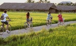Cả nước có khoảng 500 mô hình du lịch nông nghiệp, nông thôn