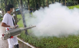Hướng đến loại trừ sốt rét tại Việt Nam vào năm 2030