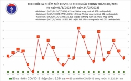 Ngày 24/3, số Covid-19 mới trên cả nước giảm nhẹ còn 8 ca
