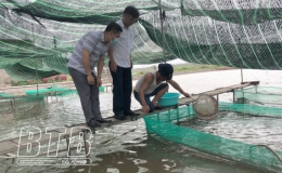 Phấn đấu sản lượng nuôi trồng thủy sản năm 2023 đạt trên 170.000 tấn