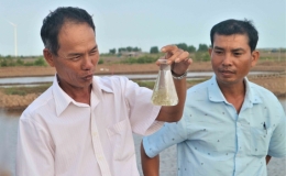 Sóc Trăng chú trọng phát triển đảng viên là người dân tộc thiểu số