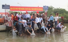 Thả 14.100 con cá giống nước ngọt trên sông Hồng
