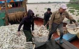 Thái Thụy: Tổng giá trị sản xuất quý I, năm 2023 ước đạt hơn 6.867 tỷ đồng