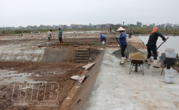 Thụy Hải: Sẵn sàng nuôi trồng thủy sản vụ xuân hè