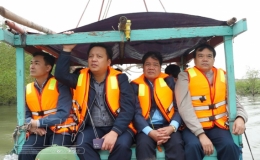 Tiền Hải kiểm tra công tác bảo vệ rừng ngập mặn tại xã Đông Long