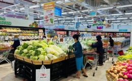 CPI tháng 3/2024 giảm 0,23%