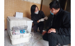 Kiến Xương hoàn thành đợt tiêm phòng cho đàn gia súc, gia cầm vụ xuân hè