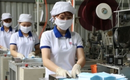 Số doanh nghiệp thành lập mới tăng 12,4%